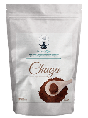 200gr of chaga powder